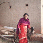 Village Woman with Her Randy (Breeder) Goat
