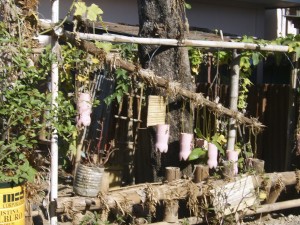 PI's other school artistic hanging plants